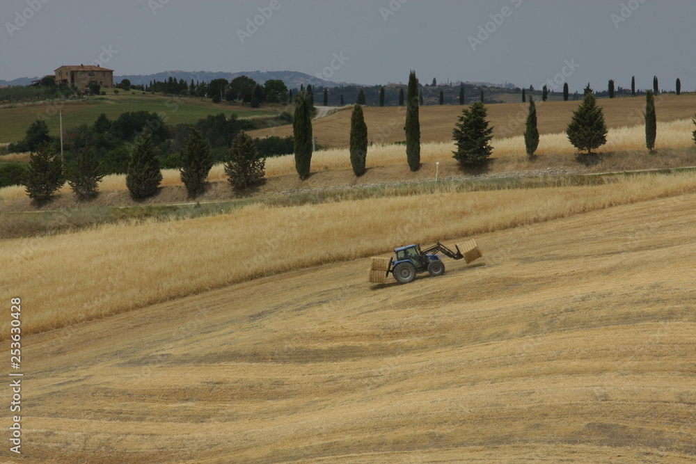 Obraz premium strohballen