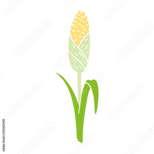 cartoon doodle of fresh corn on the cob
