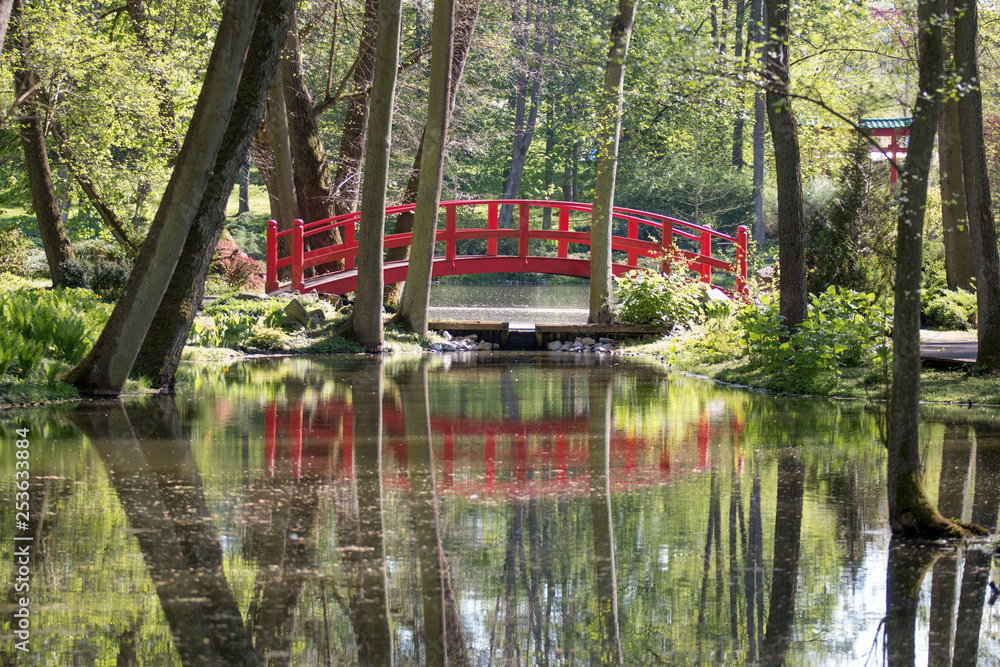 A poppy bridge in a park over the water