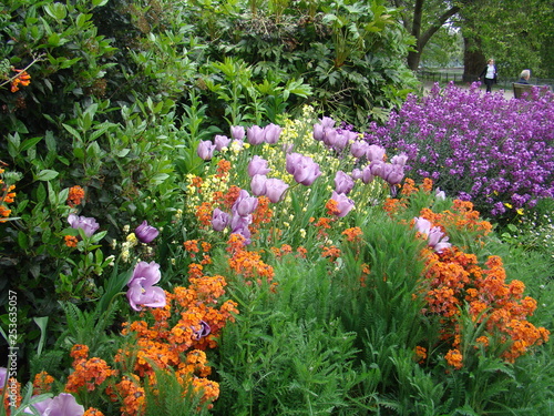 Flores jardim em londres photo