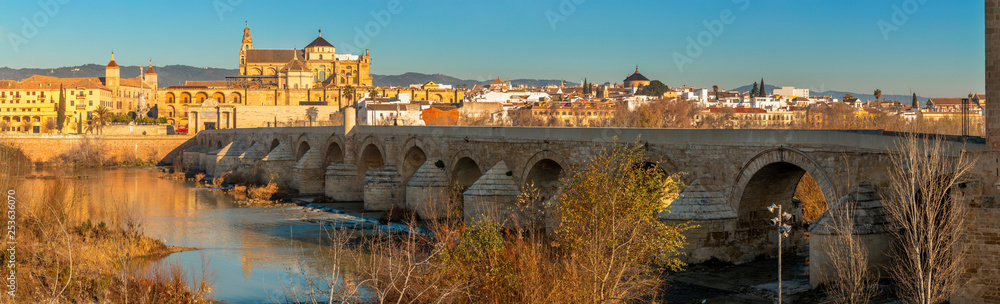Mezquita Cathedral and Roman bridge in Cordoba, Spain