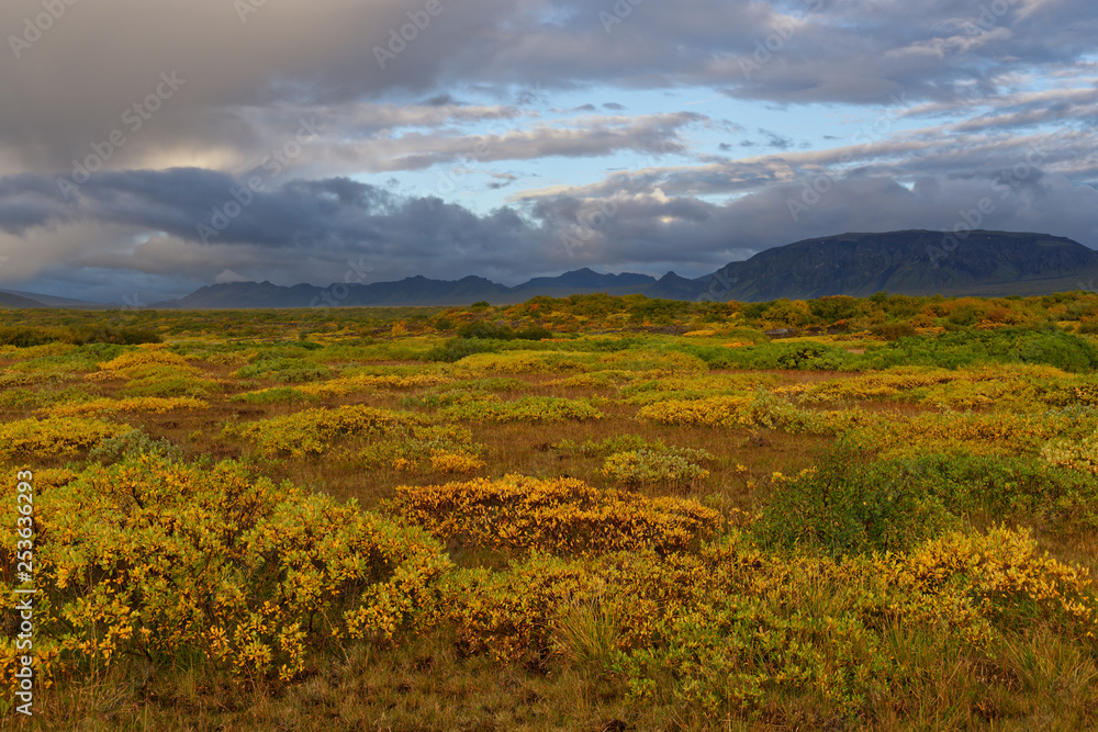 herbstliche Landschaft bei Pingvellir, Island