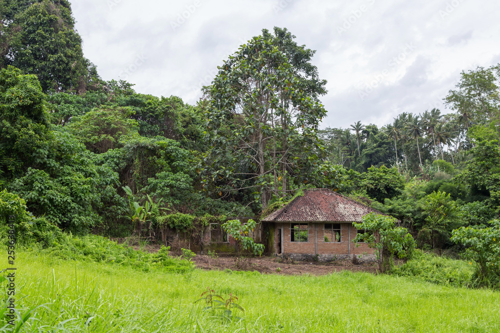 Abandoned home in the jungle of Ubud, Bali. Abandoned home in the jungle of Ubud, Bali.