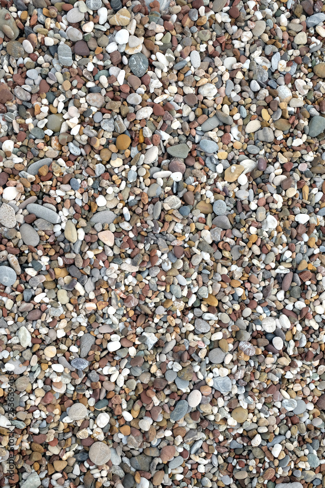 Background from many small smooth pebble stones on the sea beach on sunny day top view close-up Background from many small smooth pebble stones on the sea beach on sunny day top view close-up