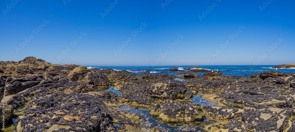 Obraz premium Paisaje marítimo en A Guarda, Galicia, verano de 2018