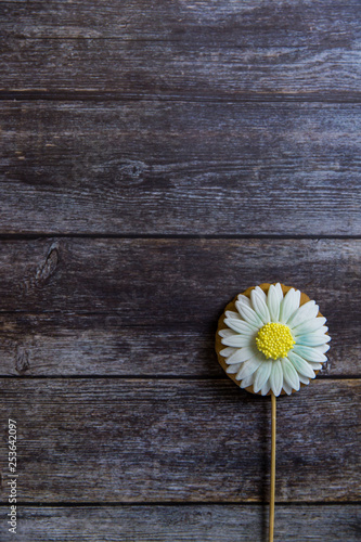 Hand painted gingerbread chamomile on wooden background. Top view. Sweet dessert as a gift for women's day on 8 March