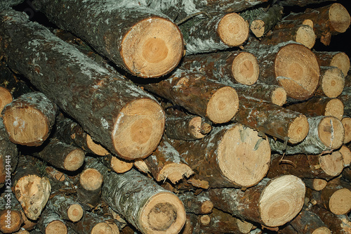 Timber logs for furniture  stationery and household needs. Firewood for heating