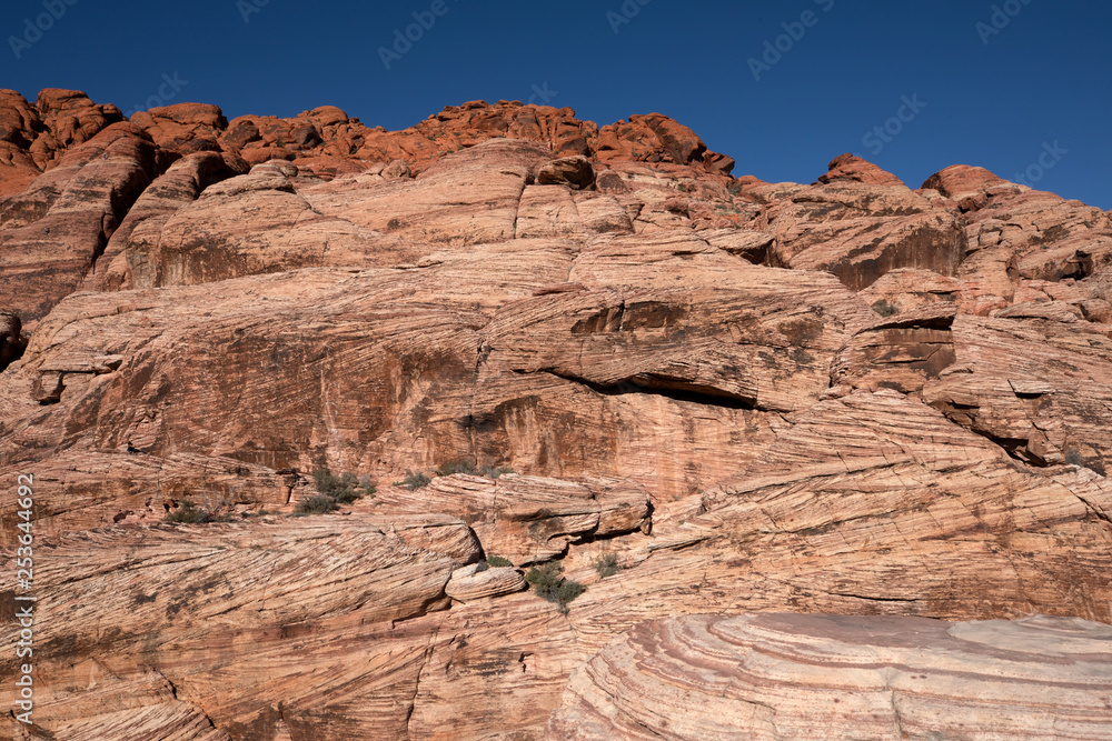 Fototapeta premium Red Rock Canyon, Nevada, USA.