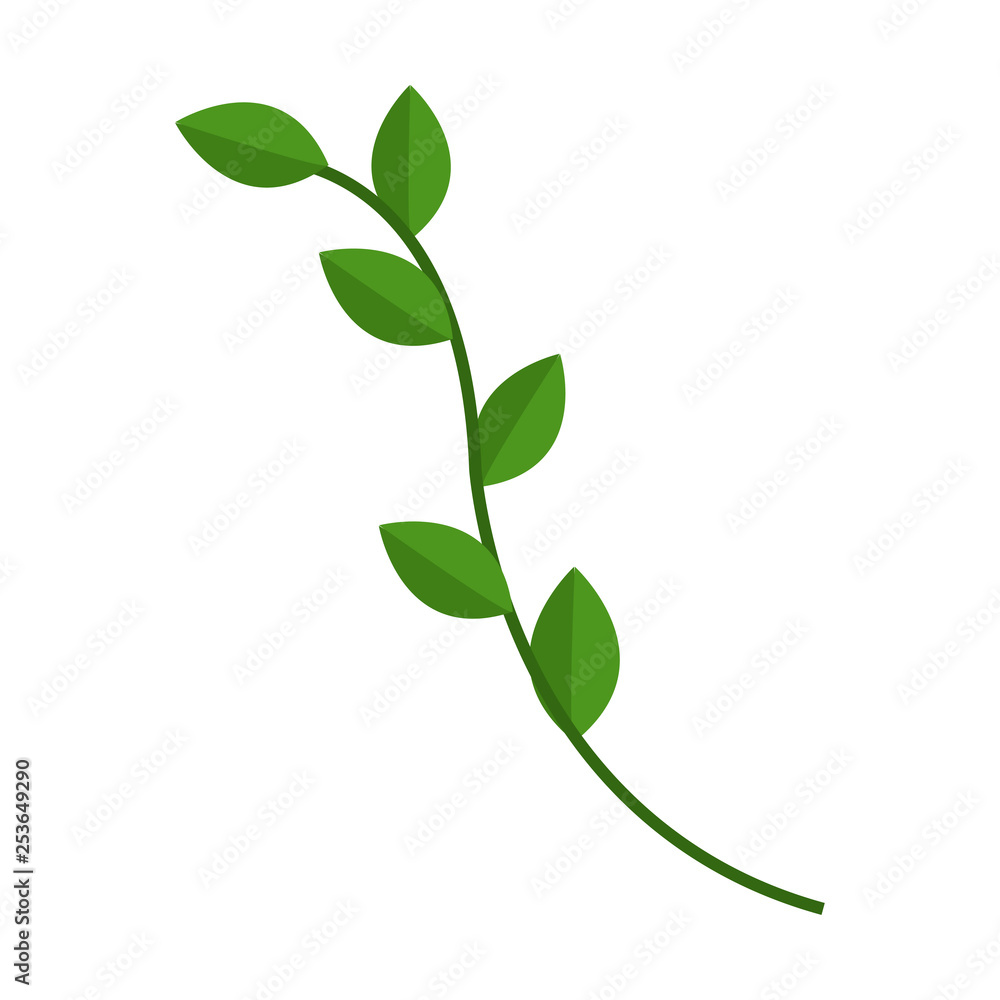 Branch with green leaves. Leaves. Detailed vector plant, isolated on white background. Vector illustration. EPS 10. Branch with green leaves. Leaves. Detailed vector plant, isolated on white background. Vector illustration. EPS 10.