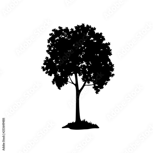 Chestnut tree, black silhouette on white background. Vector
