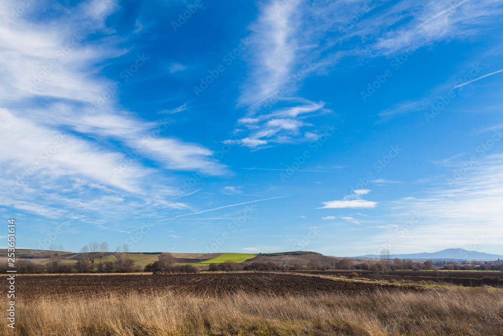 Landscape of farm fields with blue sky