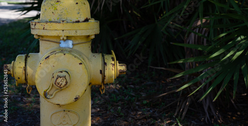 yellow fire hydrant 