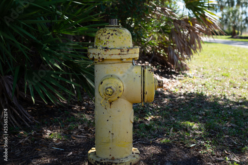 Yellow Fire Hydrant