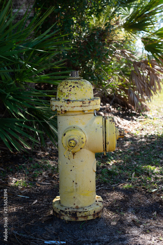 Yellow Fire Hydrant side view