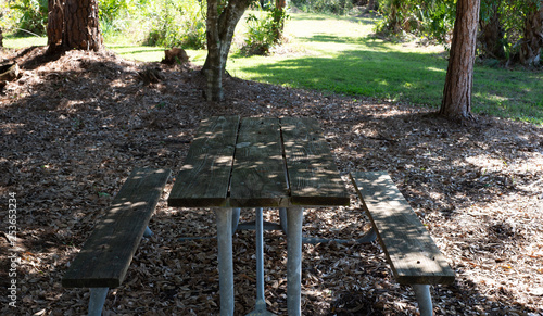 Picnic table at the park