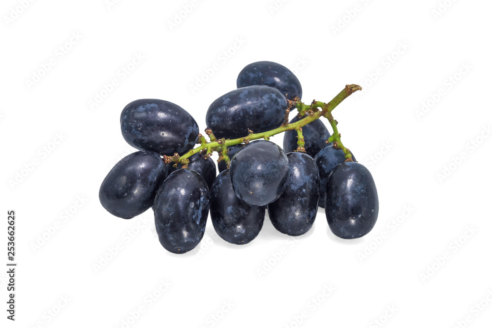 Black grapes with white background Black grapes with white background