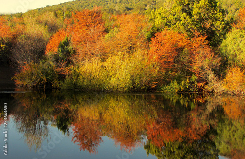 los arboles con colores de otoño cubren la orilla de un lago