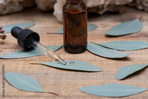 Eucalyptus Essential oil in Amber Round Glass Bottle with Glass Dropper and Fresh Eucalyptus leaves on wooden background. Phytotherapy.