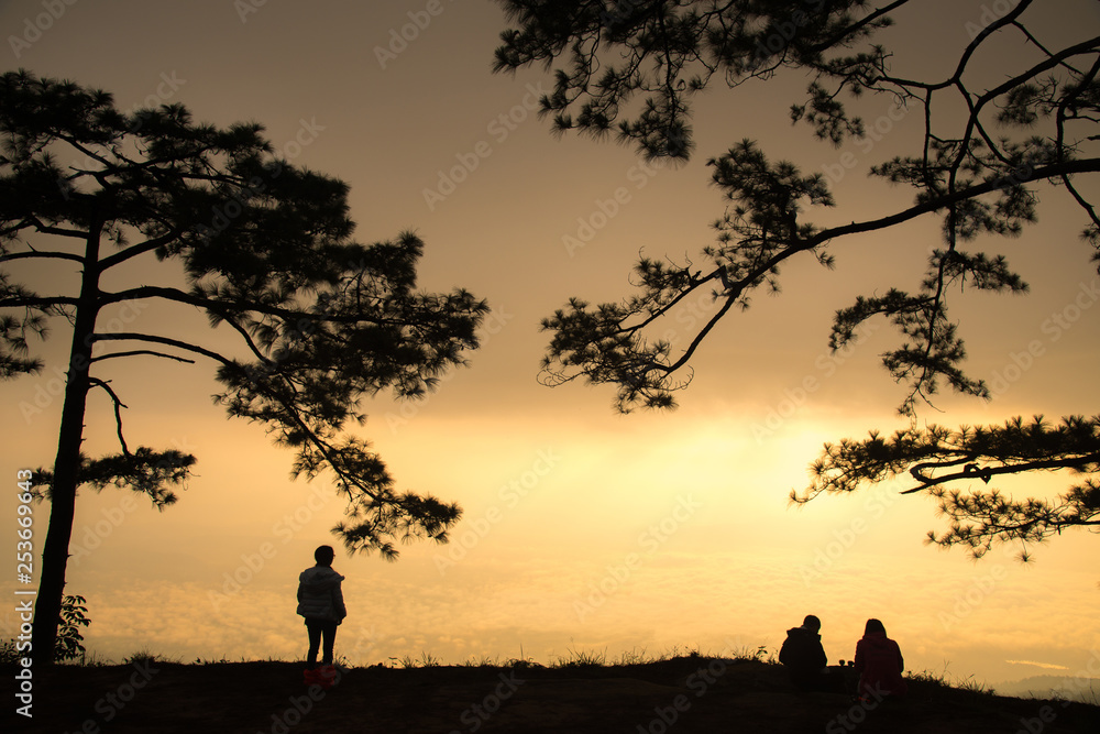 Sunrise view with silhouette pinewood forest on Phu Kradueng national park an ultimate dream for many Thai trekkers. Located in Loei province of Thailand.