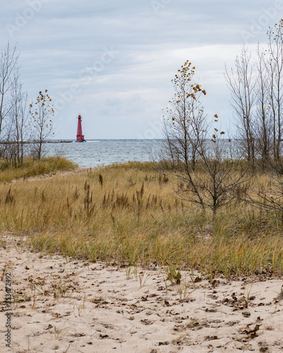 Beach shore of Lake Michigan