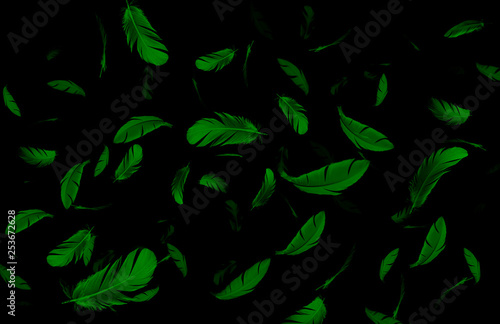 abstract background, green feathers float in the dark.