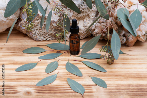 Eucalyptus Essential oil in Amber Round Glass Bottle with Glass Dropper and Fresh Eucalyptus leaves on wooden background. Phytotherapy.