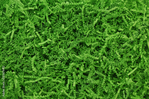 Canvas Print Green Easter grass background