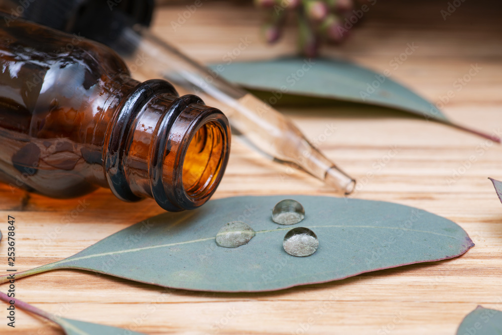 Eucalyptus Essential oil in Amber Round Glass Bottle with Glass Dropper and Fresh Eucalyptus leaves on wooden background. Phytotherapy. - obrazy, fototapety, plakaty 