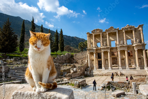 Ephesus historical ancient ...