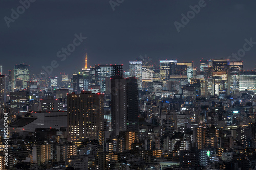 Tokyo cityscape which can see tokyo tower in far away  taking from tokyo sky tree east  Japan