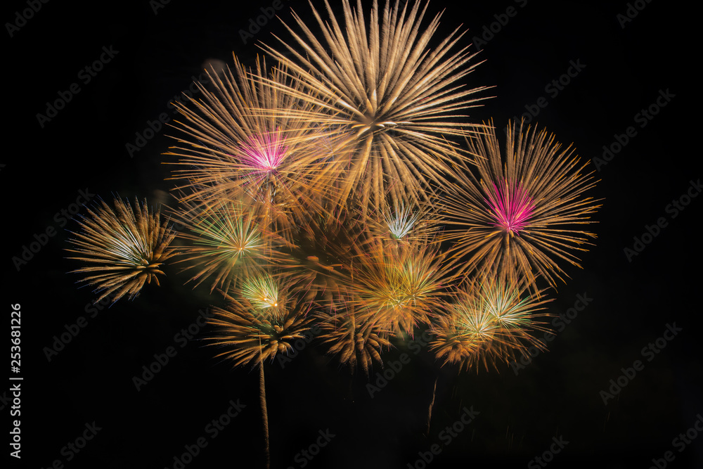 Fireworks Celebration at night.