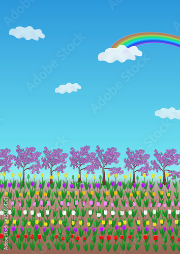 花のある風景・春・チューリップと桜と虹 © Tom.Msn&Gafuu
