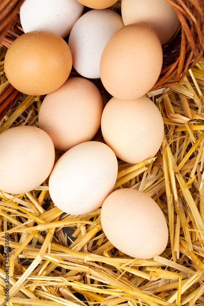 Raw eggs in dry straw. Food concept photo. Raw eggs in dry straw. Food concept photo.