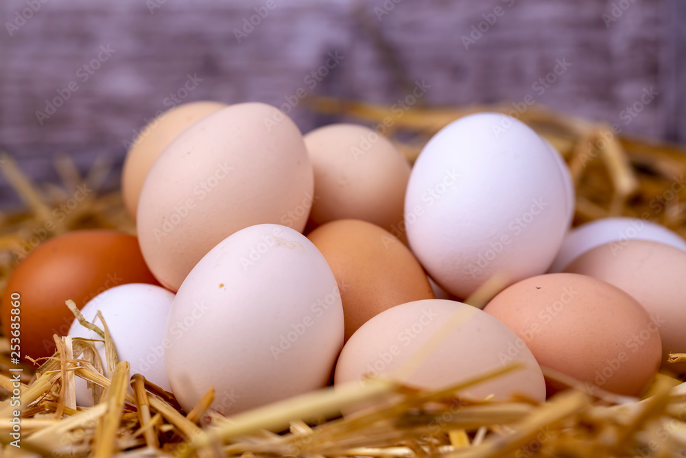 Raw eggs in dry straw. Food concept photo. Raw eggs in dry straw. Food concept photo.