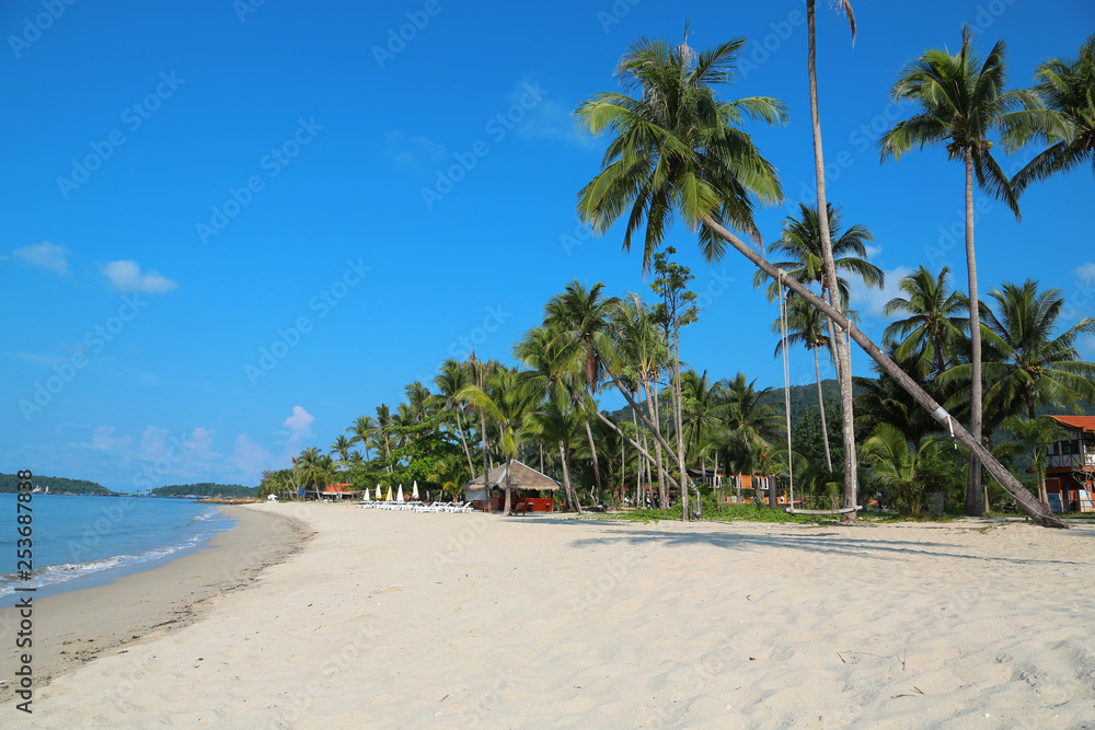 Coconut palms on Koh Chang island in Thailand Coconut palms on Koh Chang island in Thailand