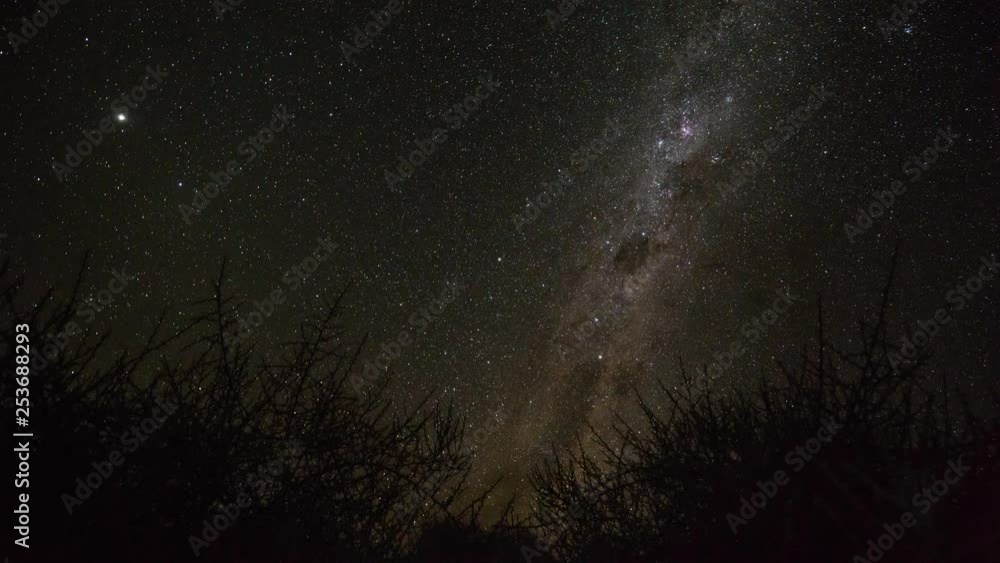 Milky way in dark night sky above silhouetted nara plant in the Namib Desert Milky way in dark night sky above silhouetted nara plant in the Namib Desert