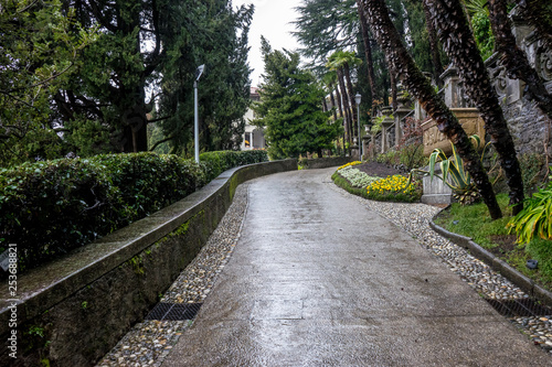 Italy, Varenna, Lake Como, FOOTPATH AMIDST TREES IN FOREST