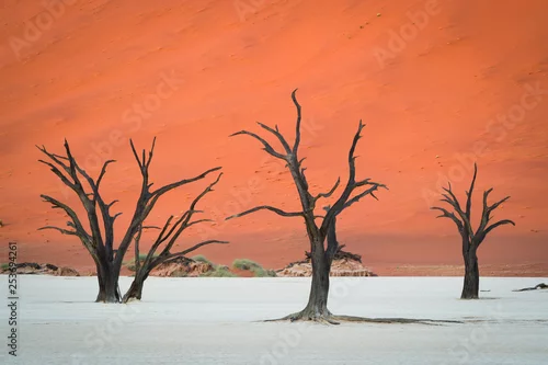 Obraz Deadvlei, Sussusvlei