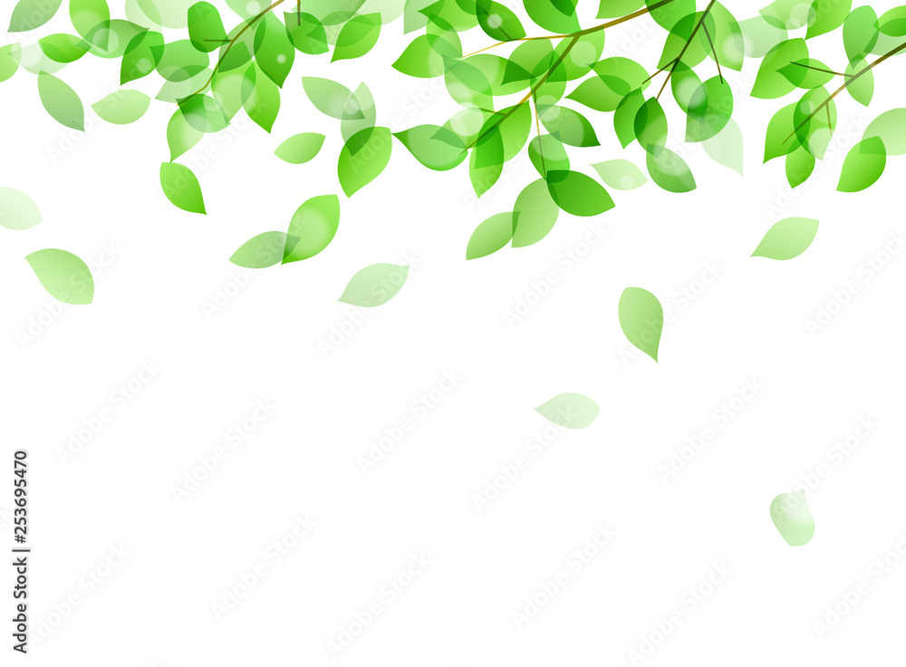 Fresh green and sunbeams background material Fresh green and sunbeams background material