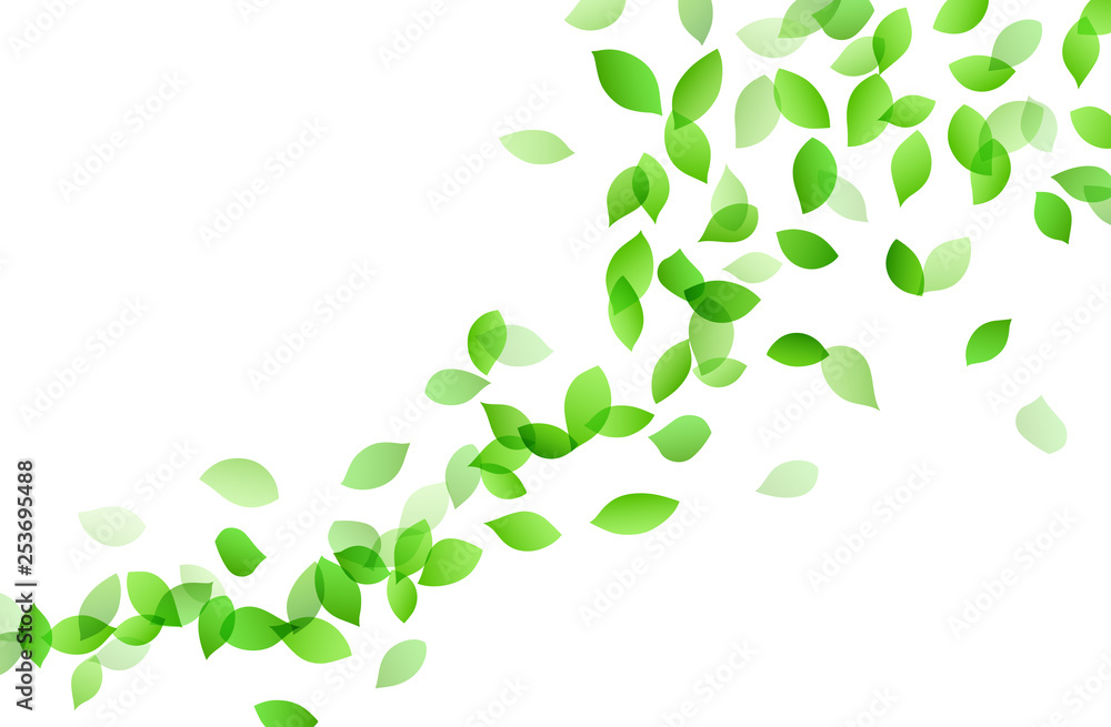 Leaf dancing image background material - obrazy, fototapety, plakaty 