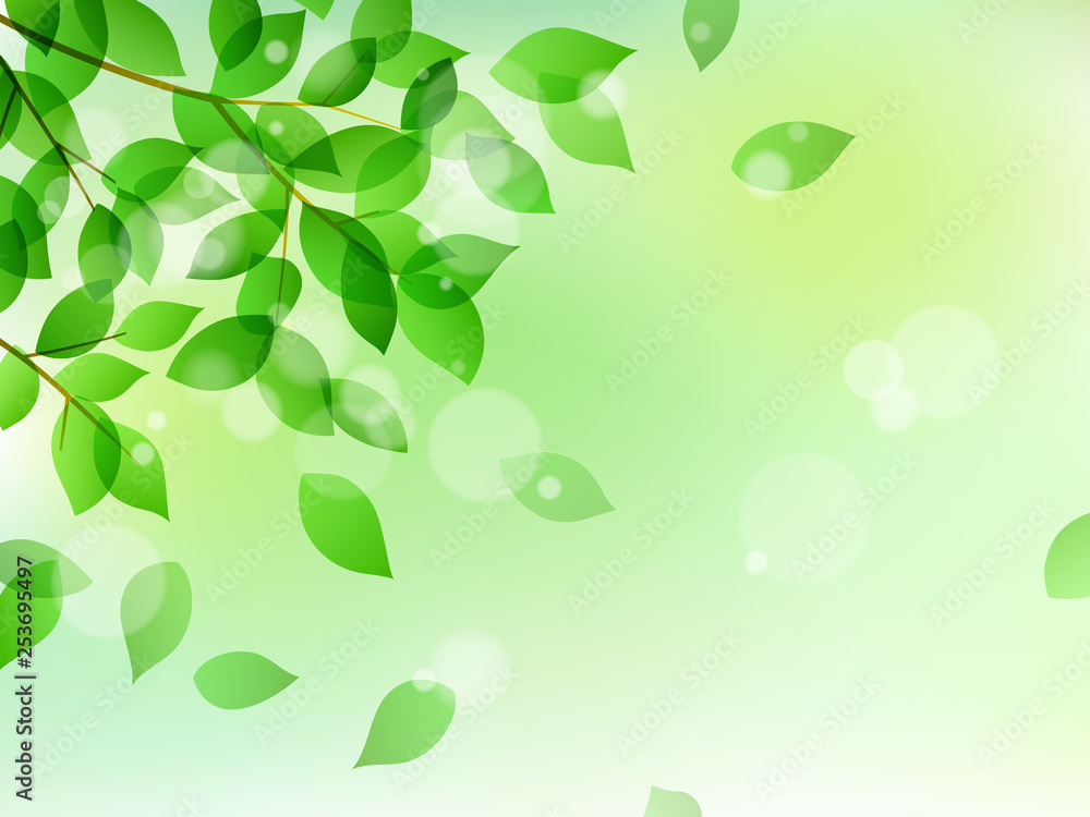 Fresh green and sunbeams background material Fresh green and sunbeams background material