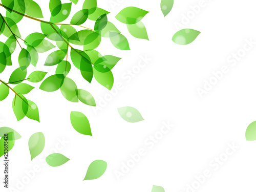 Fresh green and Leaf dancing background material