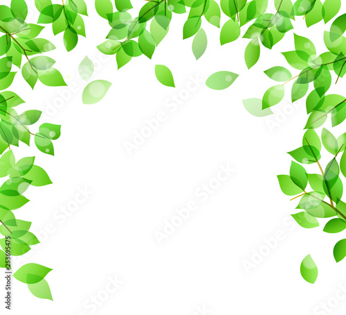 Fresh green and sunbeams background material