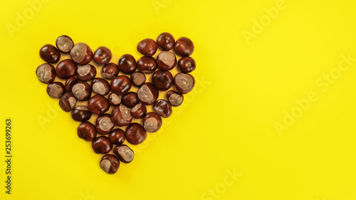 Bilde på lerret Top down view, heart made of horse chestnuts on yellow board, space for text on right side