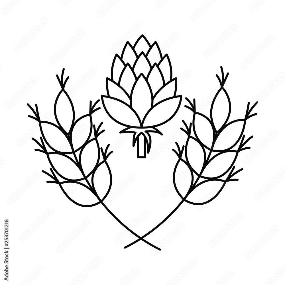 Obraz premium wheat leaves and pinecone isolated icon