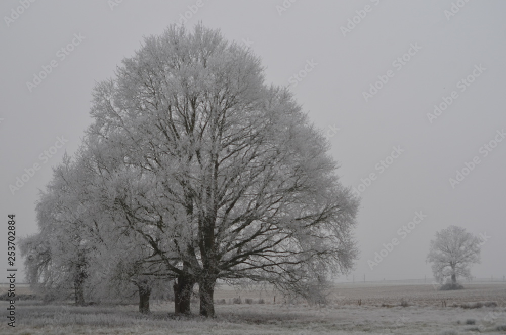 Fototapeta premium hiver a chantenay-villedieu