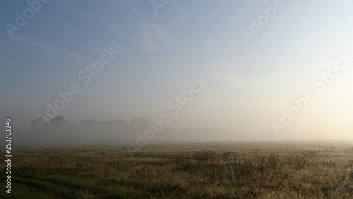 Misty morning © Wihan