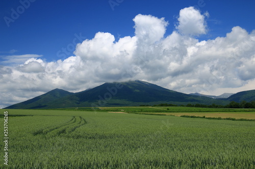 初夏の北海道 富良野岳と富良野の大地 