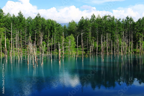  北海道十勝連峰 青い池