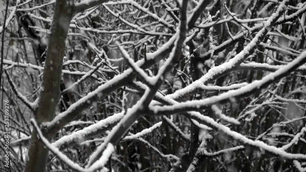 Strong snowfall. Snow storm. Dark winter weather. Video background. Strong snowfall. Snow storm. Dark winter weather. Video background.